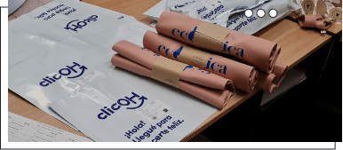 Consolidacion Regional